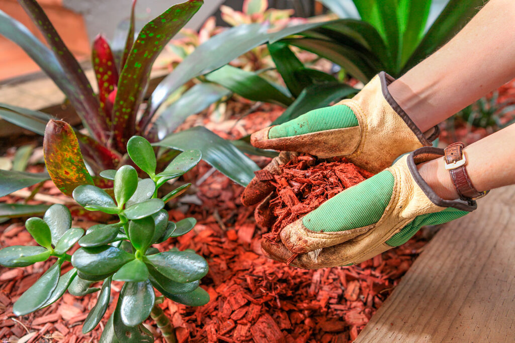 plantas con GlueGarden